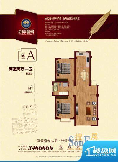 湖岸丽景实景图